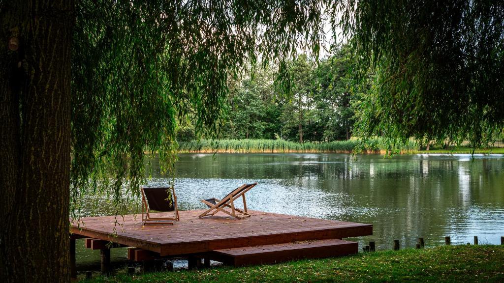 a bench and a chair sitting on a dock on a lake at Domki w Parku in Pępowo