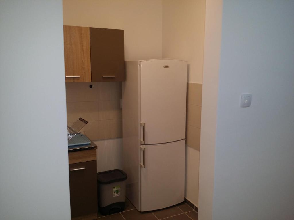 Kuchyň nebo kuchyňský kout v ubytování Apartment Jelena