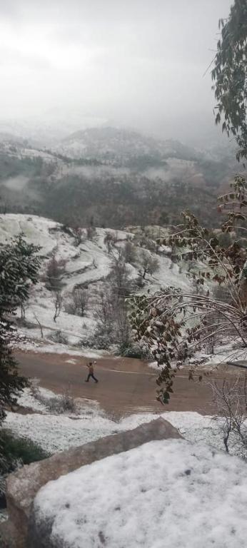 a person riding a snowboard down a snow covered hill at IBP Estate in Rānīkhet