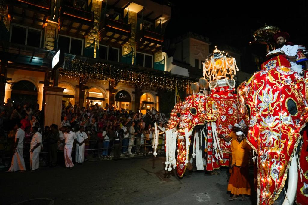 a couple of elephants in a parade in front of a crowd at The Radh Hotel in Kandy