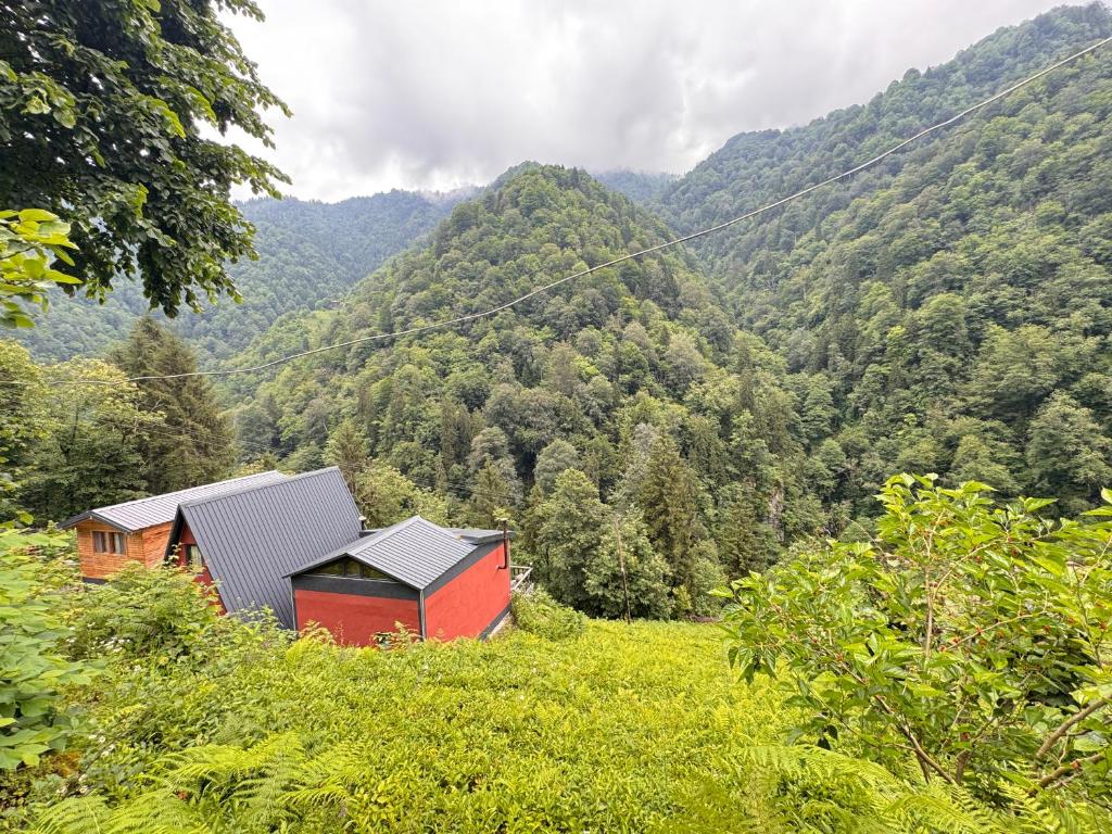 a small house in a field with mountains in the background at Kaçkin House ayder in Çamlıhemşin