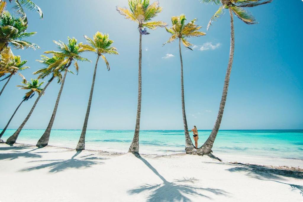 a group of palm trees on a beach at Tropicana Suites Deluxe Beach Club & Pool Punta Cana SPA in Punta Cana