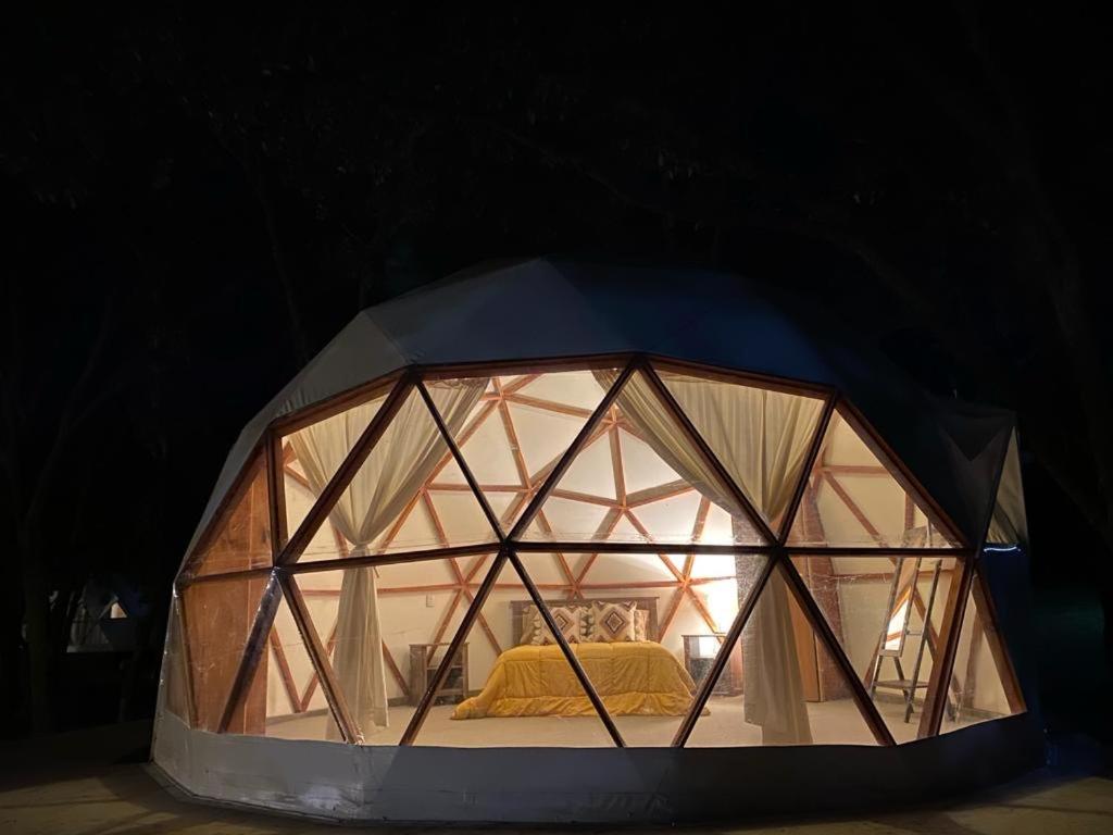 a glass igloo with a bed inside of it at GlampingWoodzen in Villa del Carbón