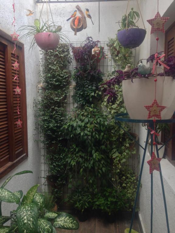  Hostel Flor de Maria