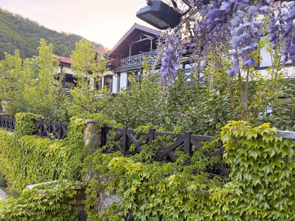 a garden with purple flowers in front of a house at Villa Fundemia in Gorna Breznitsa