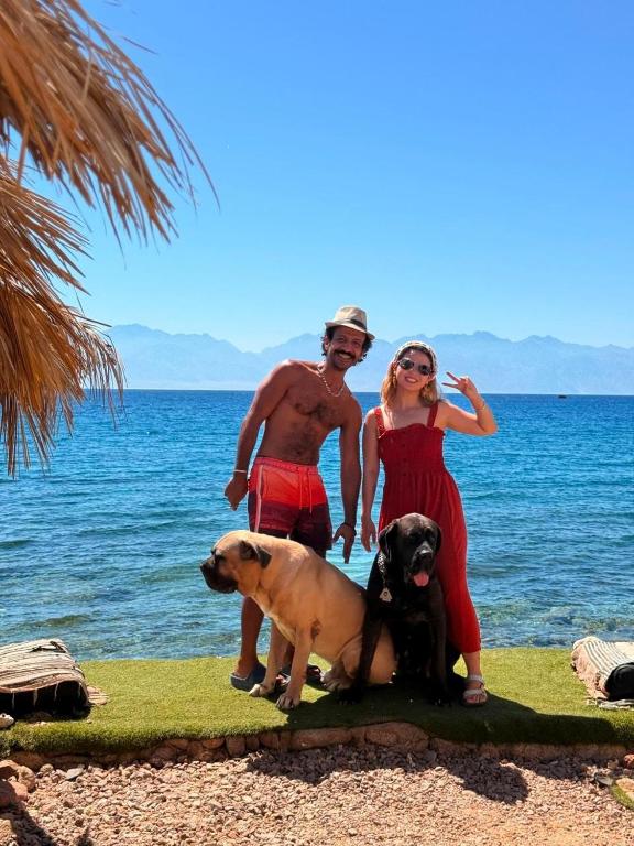 a man and a woman and two dogs on the beach at kalima camp in Nuweiba‘ el Muzeinah