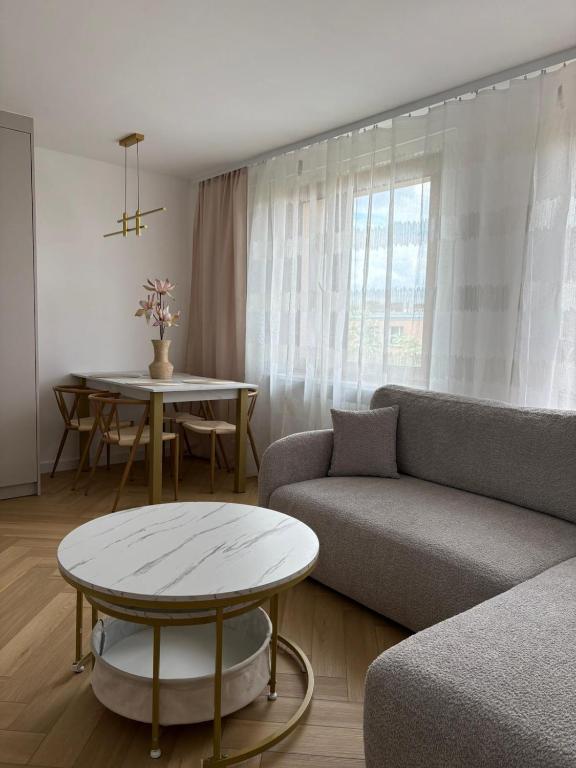 a living room with a couch and a table at Apartament Opoczno in Opoczno