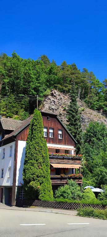 a building with a tree in front of a mountain at Haus Wander-Lust in Lauterbach
