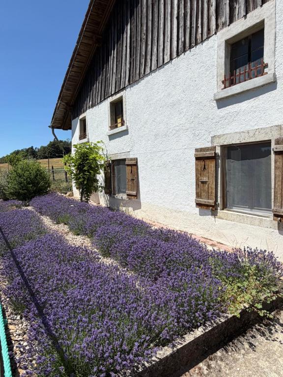 a building with purple flowers in front of it at la ferme de la gaby in Le Noirmont