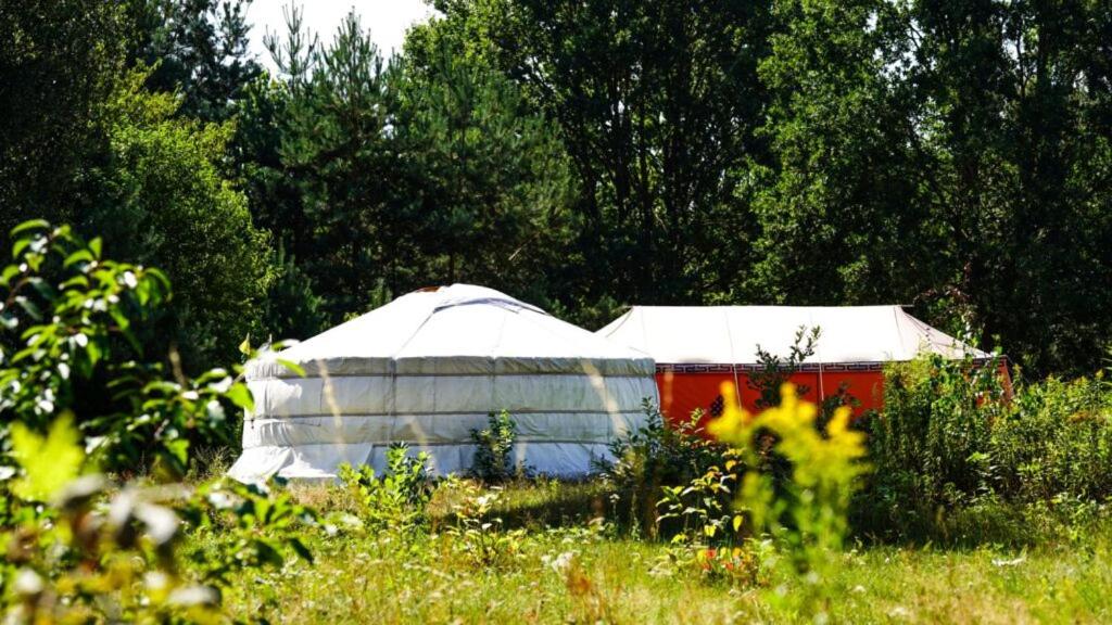 a yurt in the middle of a field of grass at Jurtowisko in Wilcza Wólka