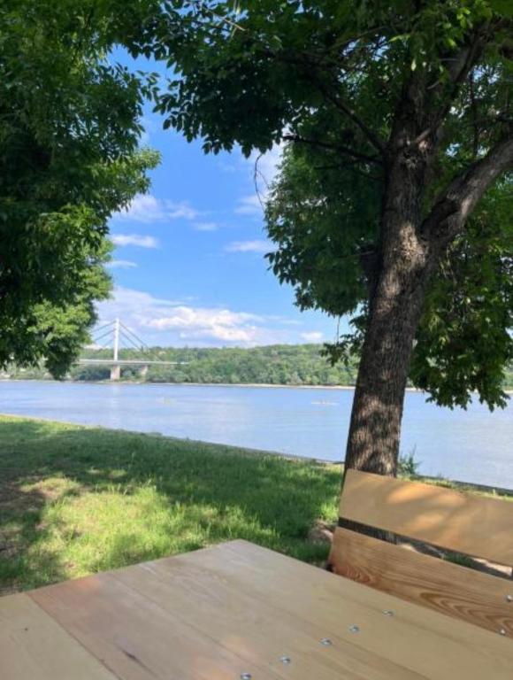 a bench next to a tree with a view of a bridge at Kassiopi River House Novi Sad in Novi Sad