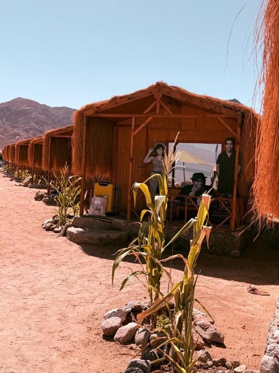 a group of people sitting in a row of huts at Genena Eco-lodge in Nuweiba