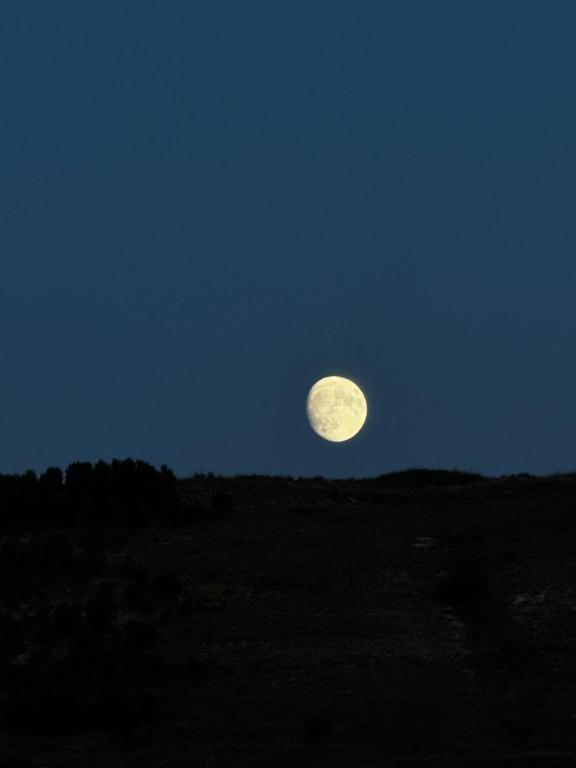 a full moon rising over a field at night at Eclipse 2026 in Tamarón