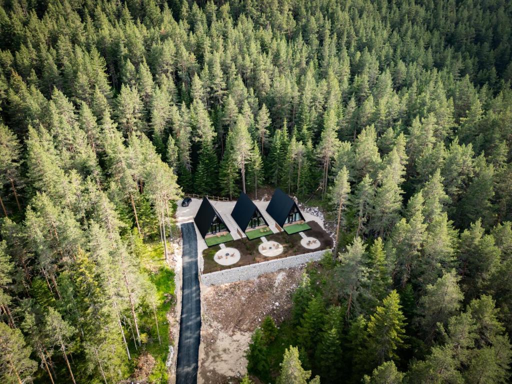 an aerial view of a house in the middle of a forest at Durmitor forest lodge in Žabljak