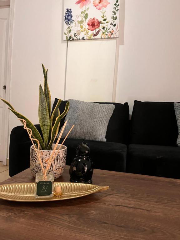 a table with a plate and a plant on it at Apartamentos Trebol in Comayagua