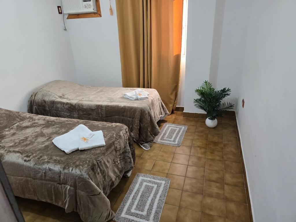 a room with two beds and a potted plant at Italia apart departamentos por día con cochera opcional in Corrientes