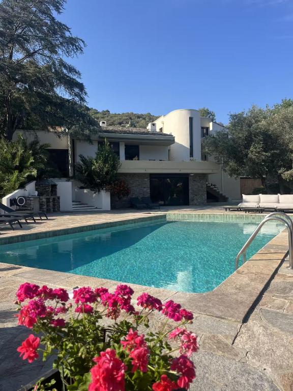a villa with a swimming pool and pink flowers at A Villa Rosa in Santa-Maria-di-Lota