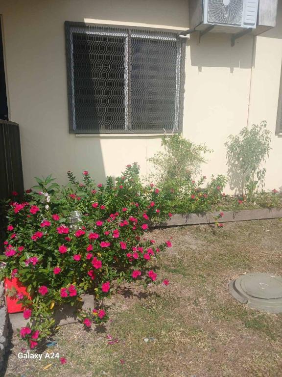 bukiet różowych kwiatów przed budynkiem w obiekcie AAIZ Homestay w mieście Labasa Airport