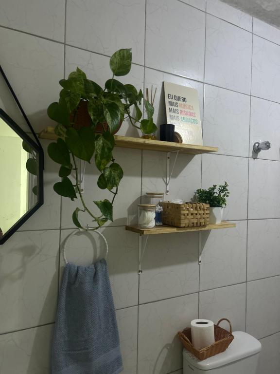 a bathroom with shelves and a plant on a toilet at Garanhuns casatres123 in Garanhuns
