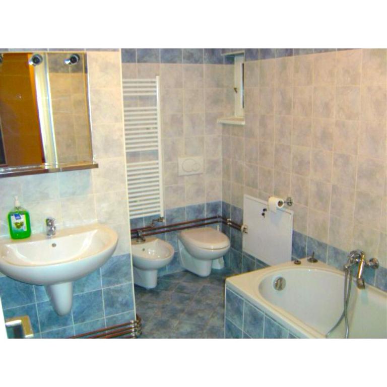 ein Badezimmer mit 2 WCs, einem Waschbecken und einer Badewanne in der Unterkunft Sepcari Old City Apartment in Bukarest
