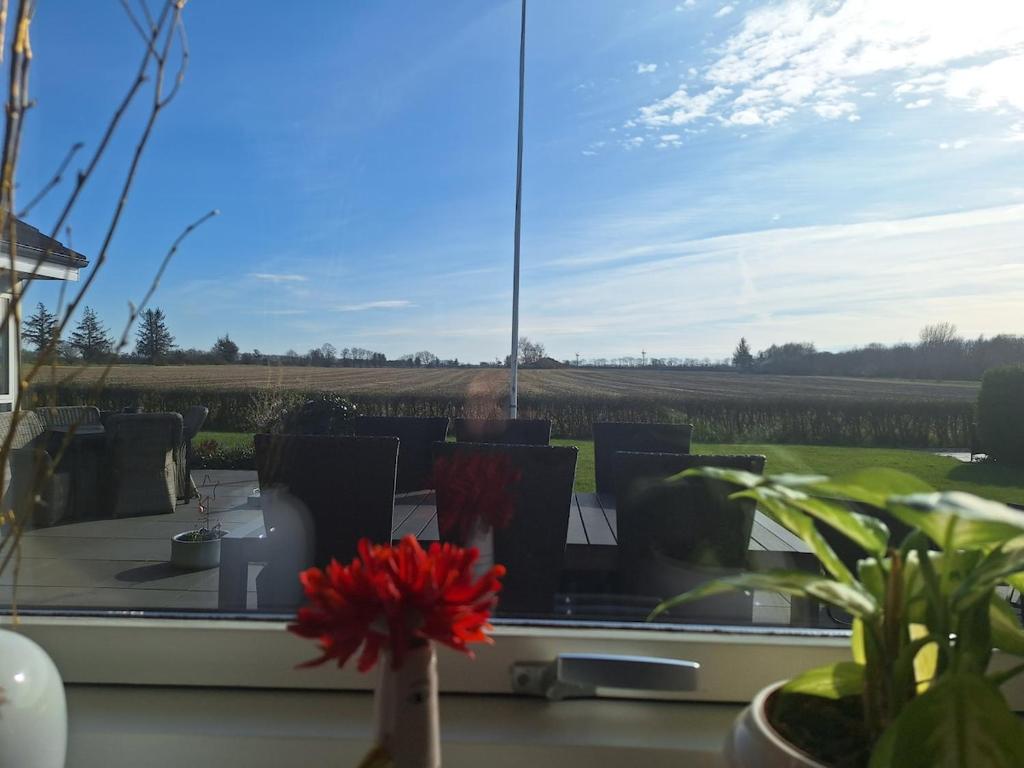 a view of a field from a window with flowers at Nice room with a wonderful view in Sommersted