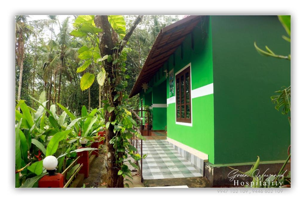 a green building with a staircase in a forest at Green wayanad homestay in Kenichira