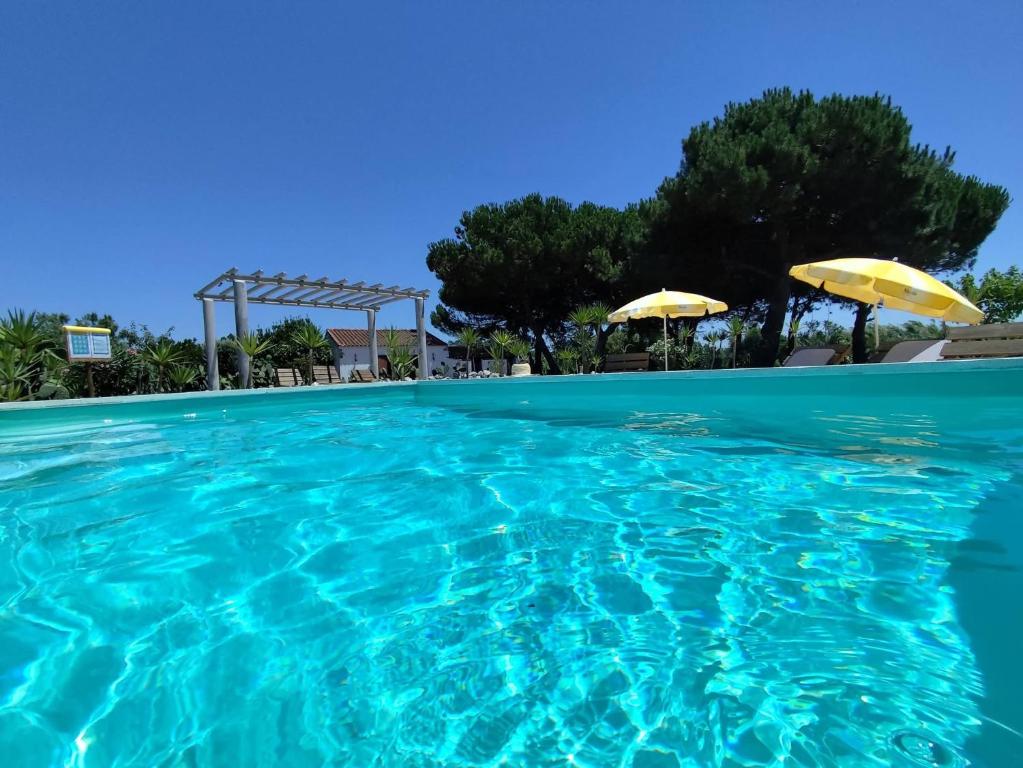 a swimming pool with two yellow umbrellas in the water at Casa do Lagar in Óbidos