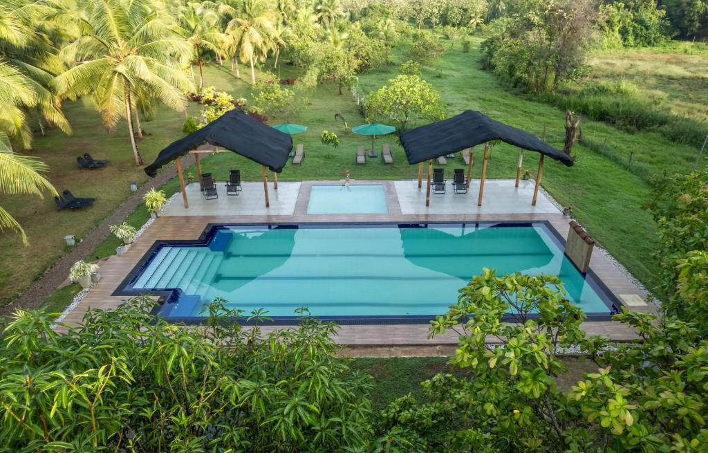 an overhead view of a swimming pool in a garden at Neem Tree Boutique Resort in Serukele