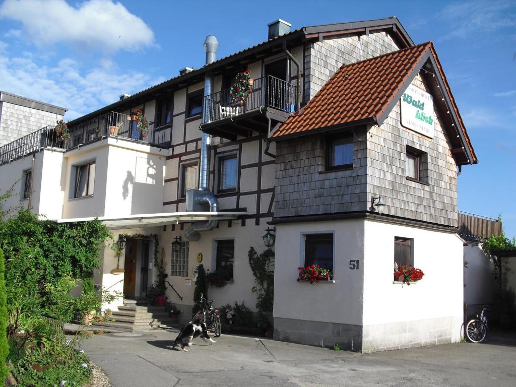 un perro está sentado fuera de un edificio en Hotel-Pension- Vesperstube Waldblick en Mainhardt