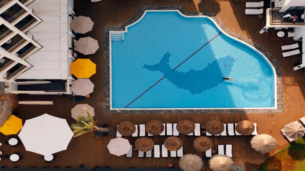 an overhead view of a swimming pool at Jacob Sea Life Nahariya in Nahariyya
