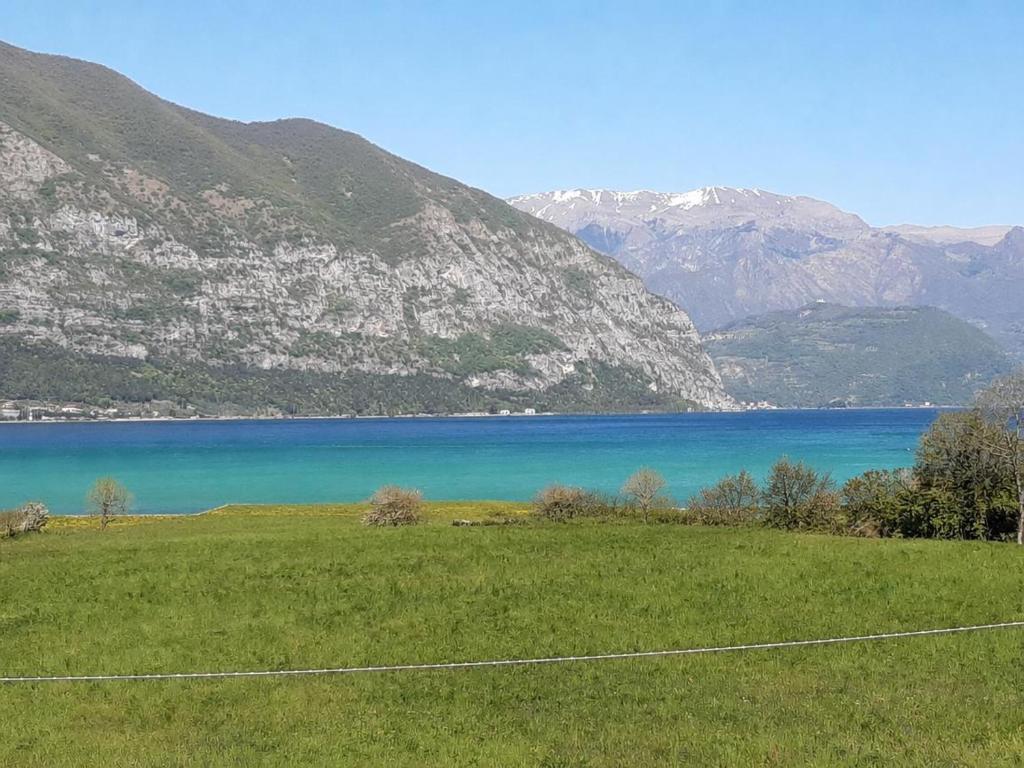 a field with a view of a lake and mountains at La finestra sul lago in Clusane sul Lago