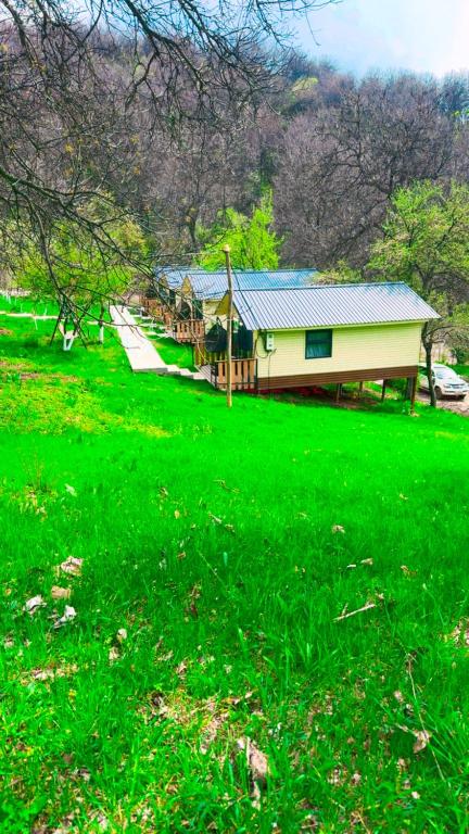 a house in a field of green grass at SELKINCHEK resort in Kugart