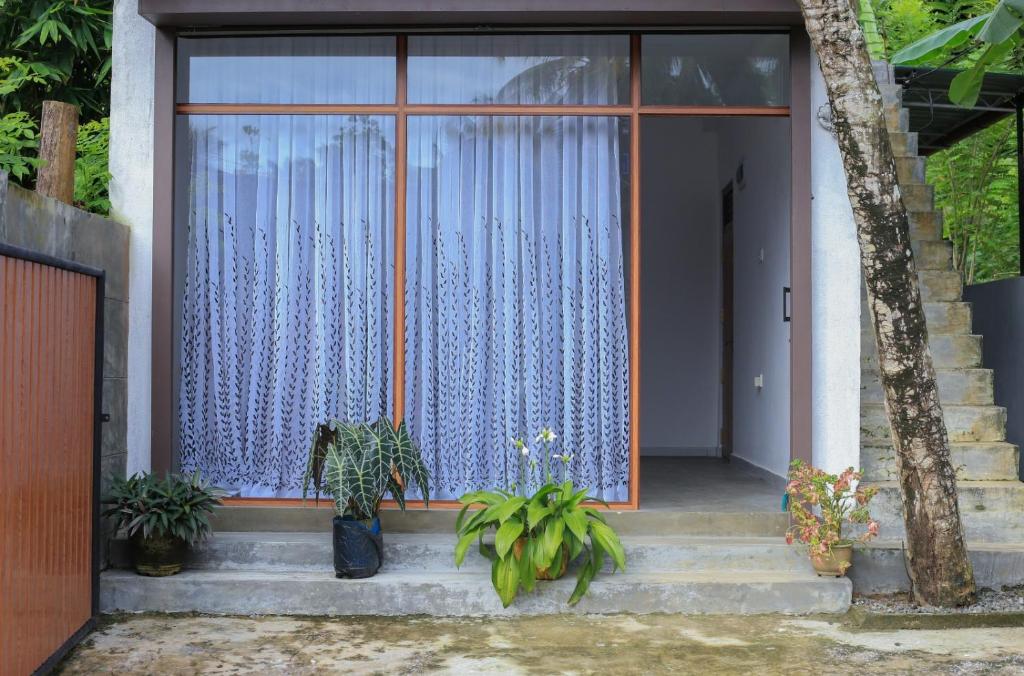 a house with a glass door with plants on the steps at Nela House in Galle