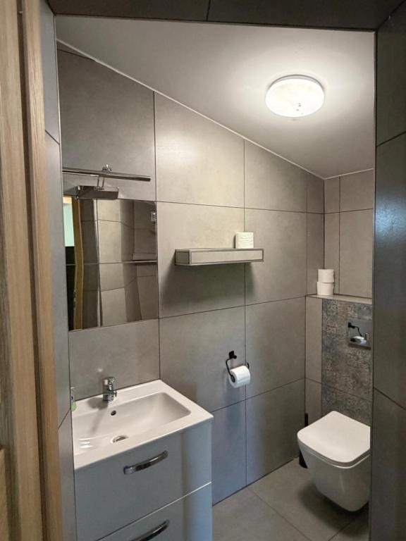 a bathroom with a sink and a toilet at Agroturystyka Rajski Ogród in Mysłakowice