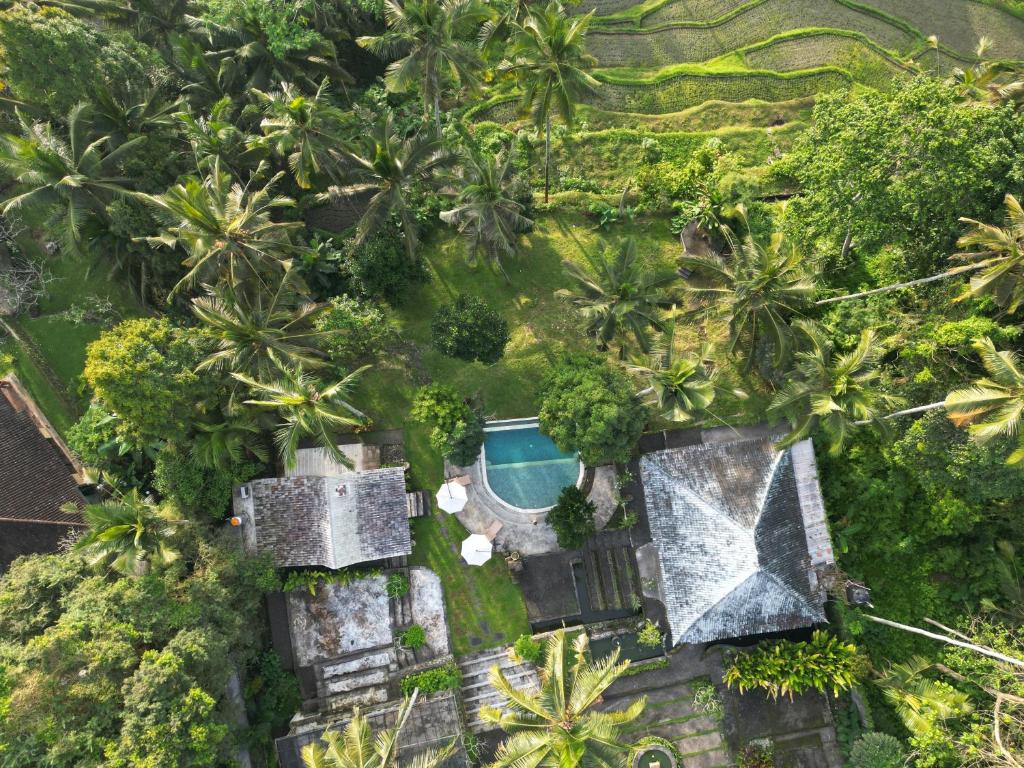 an aerial view of a resort with a swimming pool and trees at Aventus Resort Ubud in Tegalalang