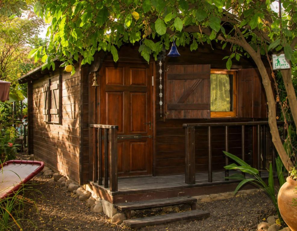 a small cabin with a wooden door under a tree at נופש דביר - צימרים מהממים למשפחות עם ג'קוזי ובריכה ליד הכנרת in Migdal