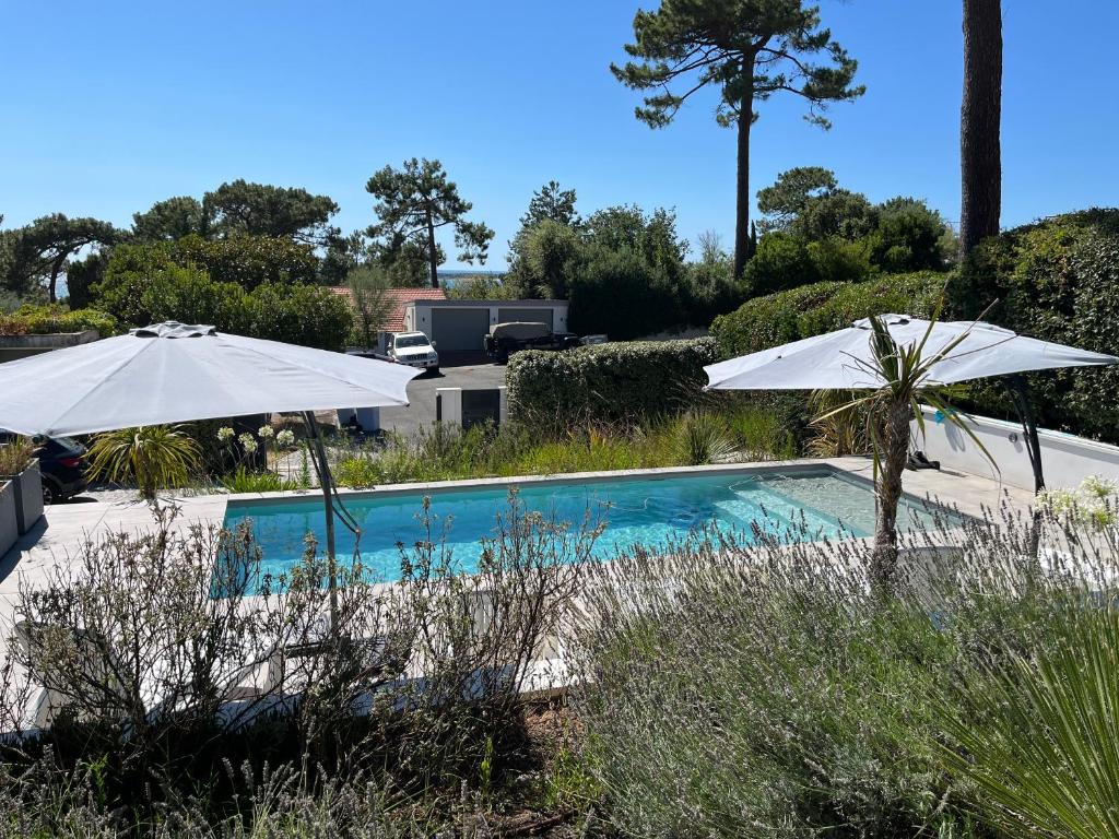 a swimming pool with two white umbrellas at Appartements Mistral in Pyla-sur-Mer