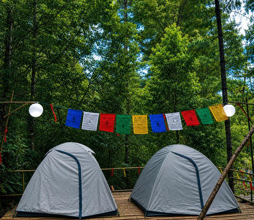 two tents in front of a string of flags at Zion Campsite in Ziro