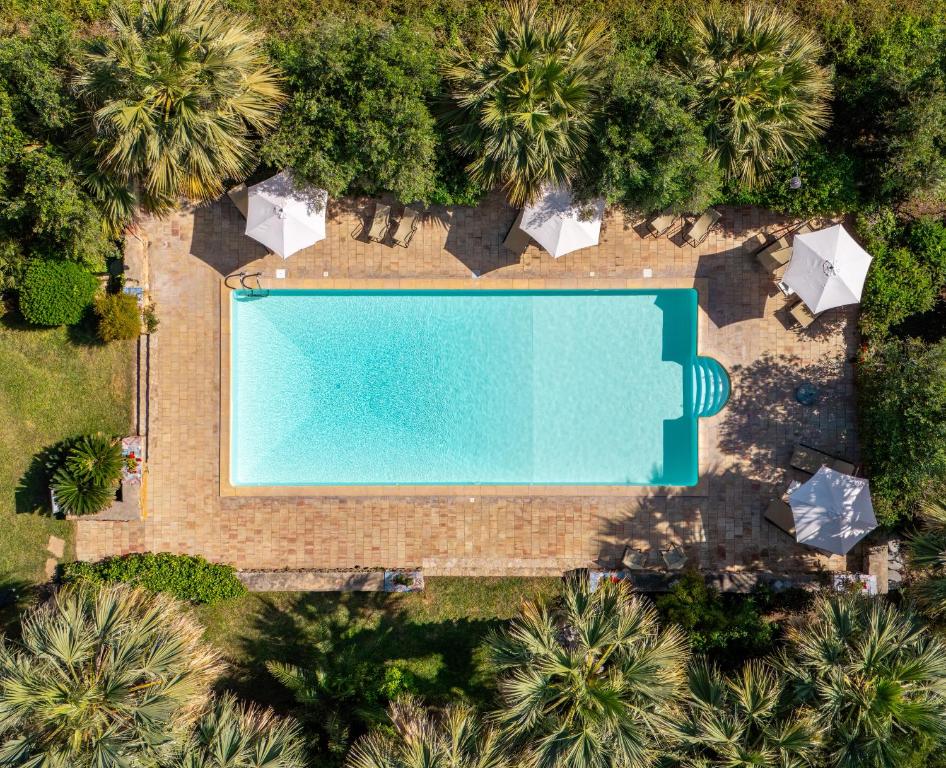 an overhead view of a swimming pool with palm trees at Agriturismo Duca di Castelmonte in Trapani