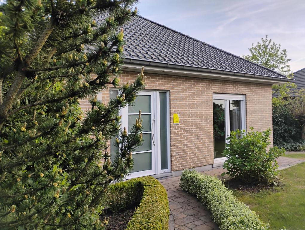 a house with a christmas tree in front of it at Maison Belle Vue Ronse in Ronse
