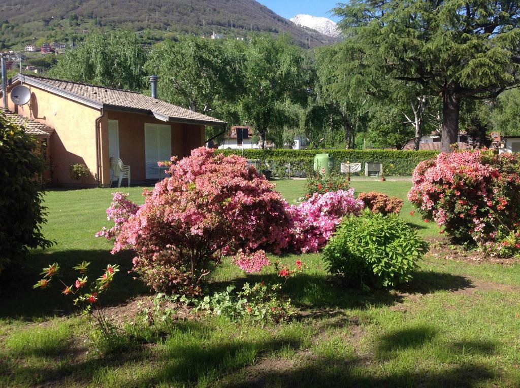 ドマーゾにあるVilla Emilioのピンクの花々が咲く庭園