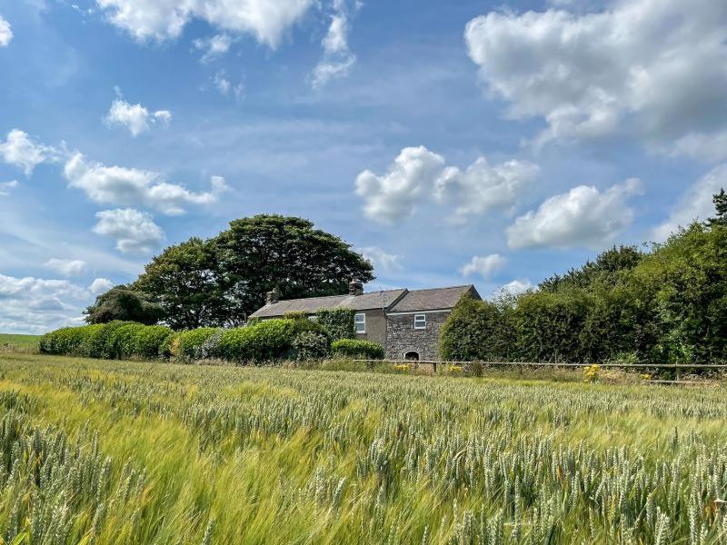a house in the middle of a field at Bruntmoor Cottage in Bakewell