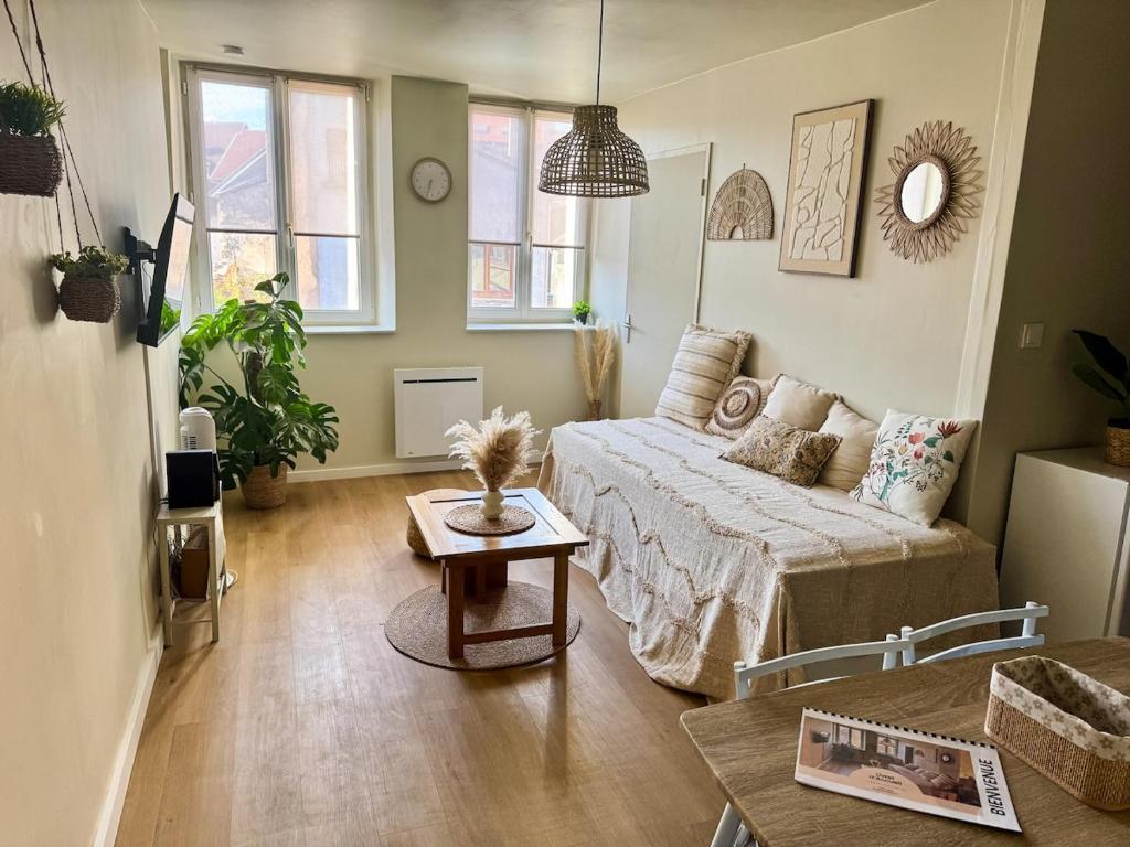 a living room with a bed and a coffee table at Le Cocon Bohème, appartement chaleureux in Sarrebourg