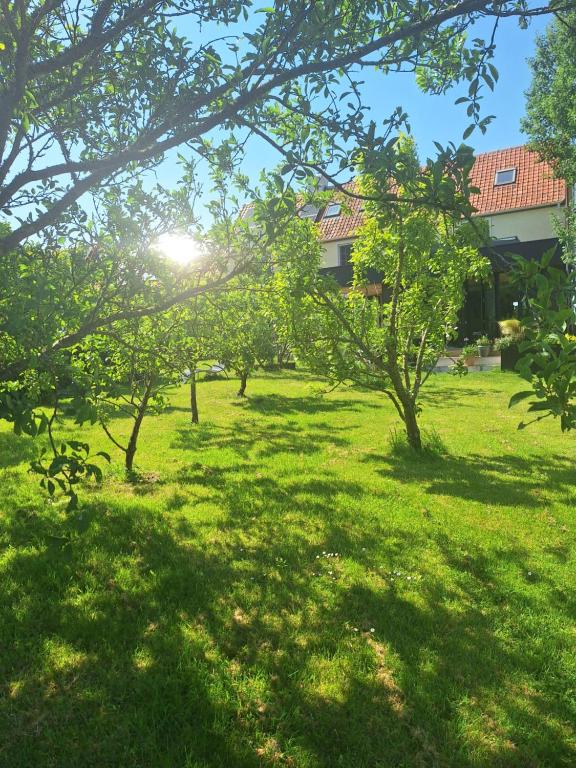 a field of grass with trees in front of a building at Le clos de Tournes in Echinghen