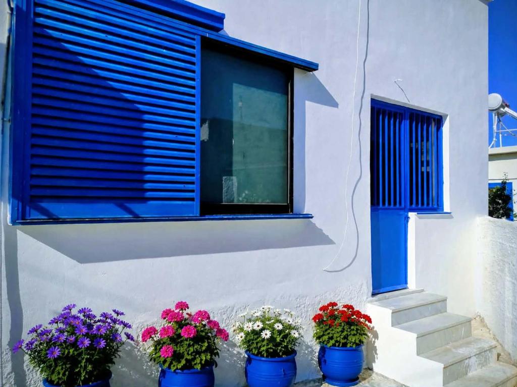 a group of potted flowers sitting in front of a window at 4 Seasons Island Suites Athens Airport in Markopoulo