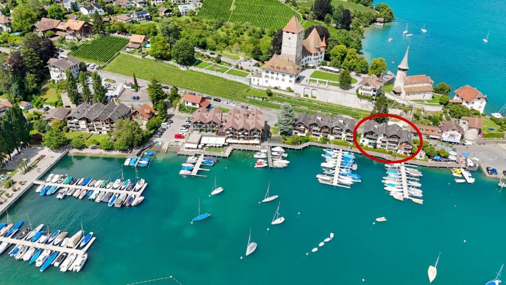 an aerial view of a marina with boats in the water at Seewohnung 2 in Spiez