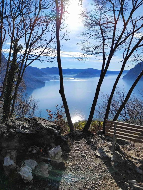 a bench sitting on the side of a lake at Appartamenti Angelo e Maria in Lovere