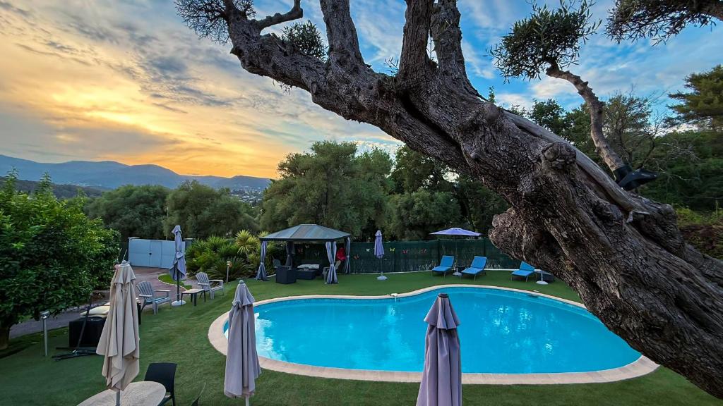 a swimming pool in a yard with umbrellas at Villa Caraïbes in Vence