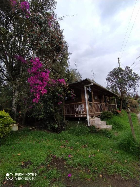 a house with a porch and a tree with pink flowers at La Cabaña de Chia in Guarne