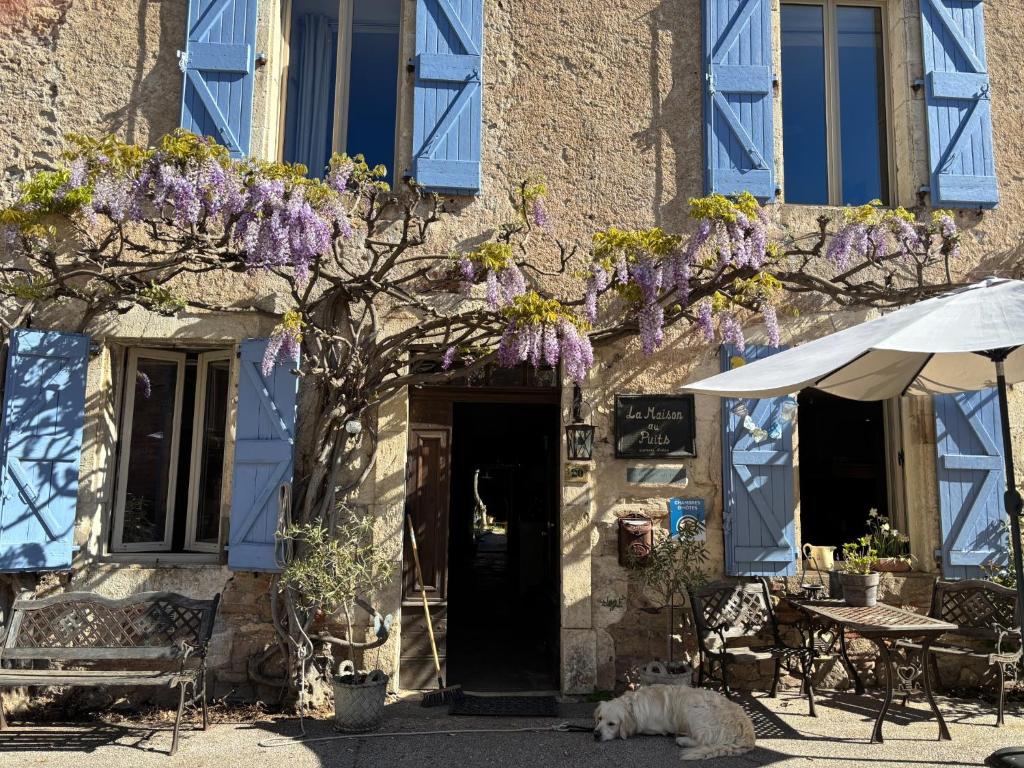 a dog sleeping in front of a building with purple flowers at La Maison aux Puits in Cordes-sur-Ciel